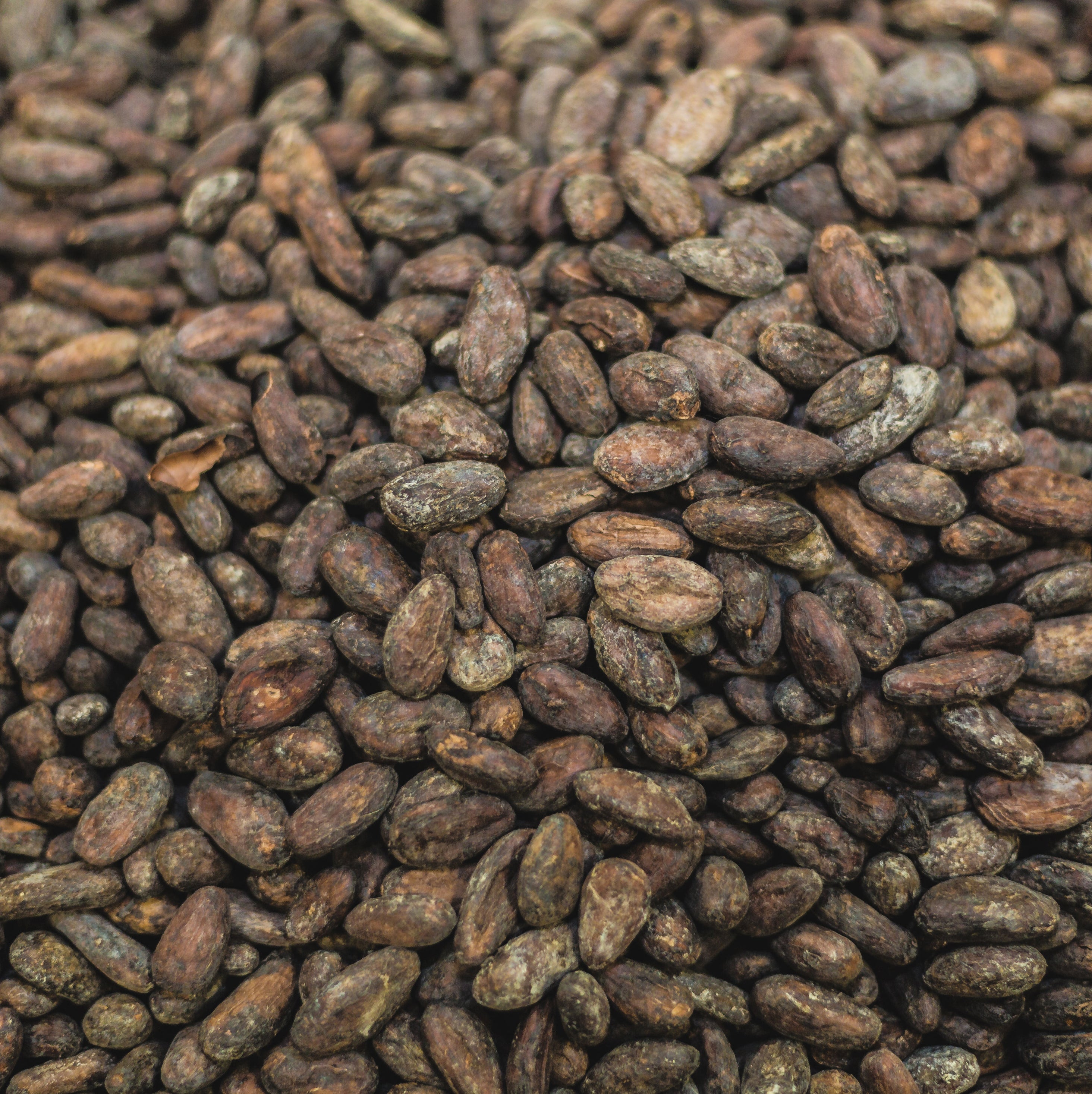 Beurre de Cacao BIO – Bien vivre en forme
